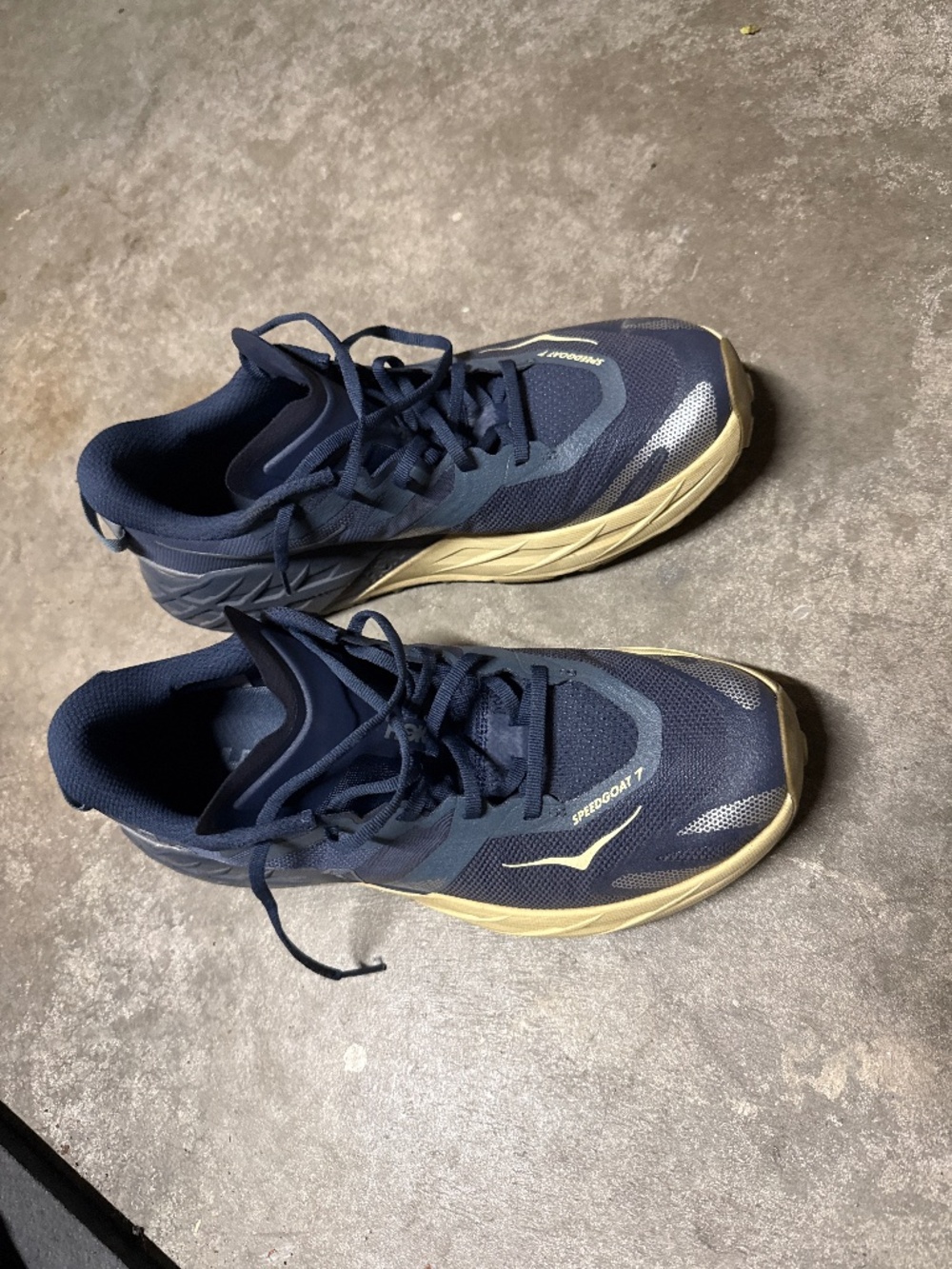 Hoka Speedgoat 7